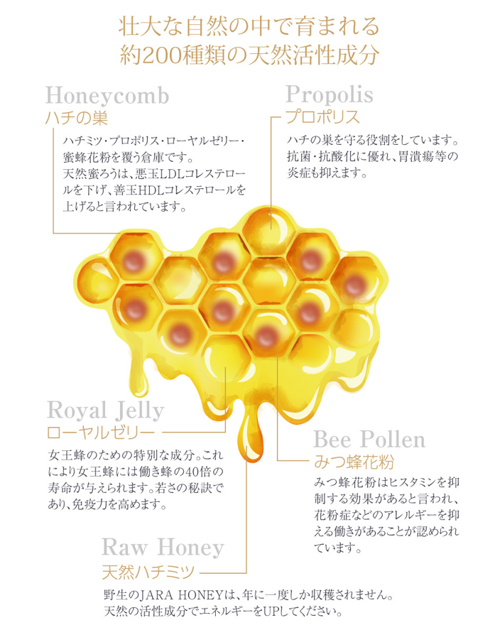【お試しサイズ】 WILD JARA HONEY / JARA HONEY Noble 30g×2種セット オーガニック ジャラハニー|天然はちみつ|ワイルドハニー