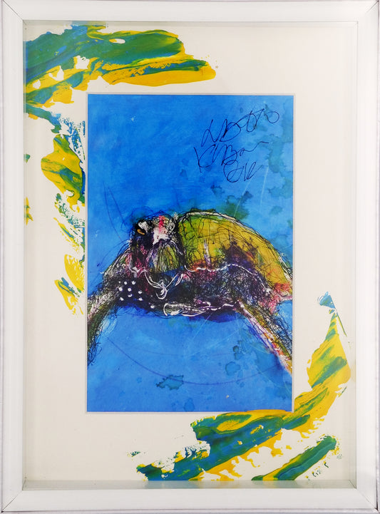 【北村直登】BOXフレーム|ポストカード入り|亀