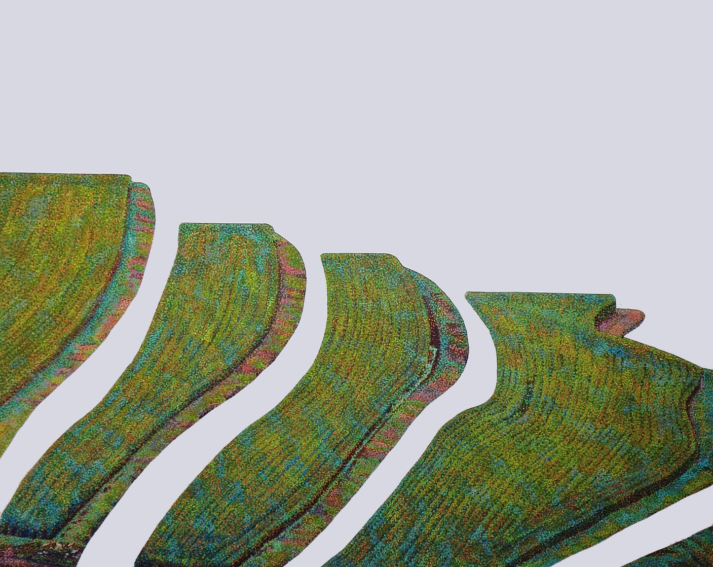 佐野直【field 1】