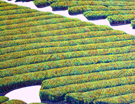 佐野直【PLANTATION 1】