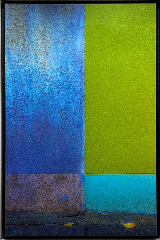 【A MOMENT IN COLOR】2014.12.09 14:37:36 笹渕俊 SHUN SASABUCHI