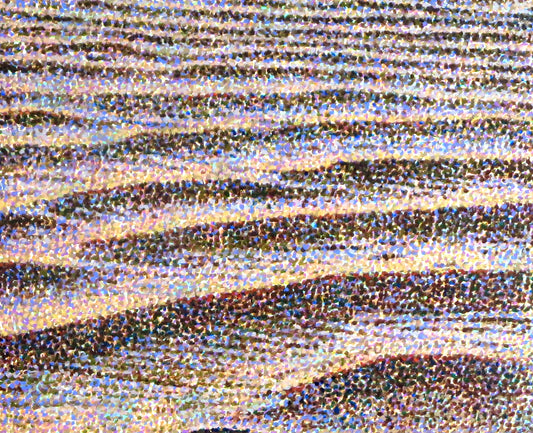 佐野直【砂漠の海】