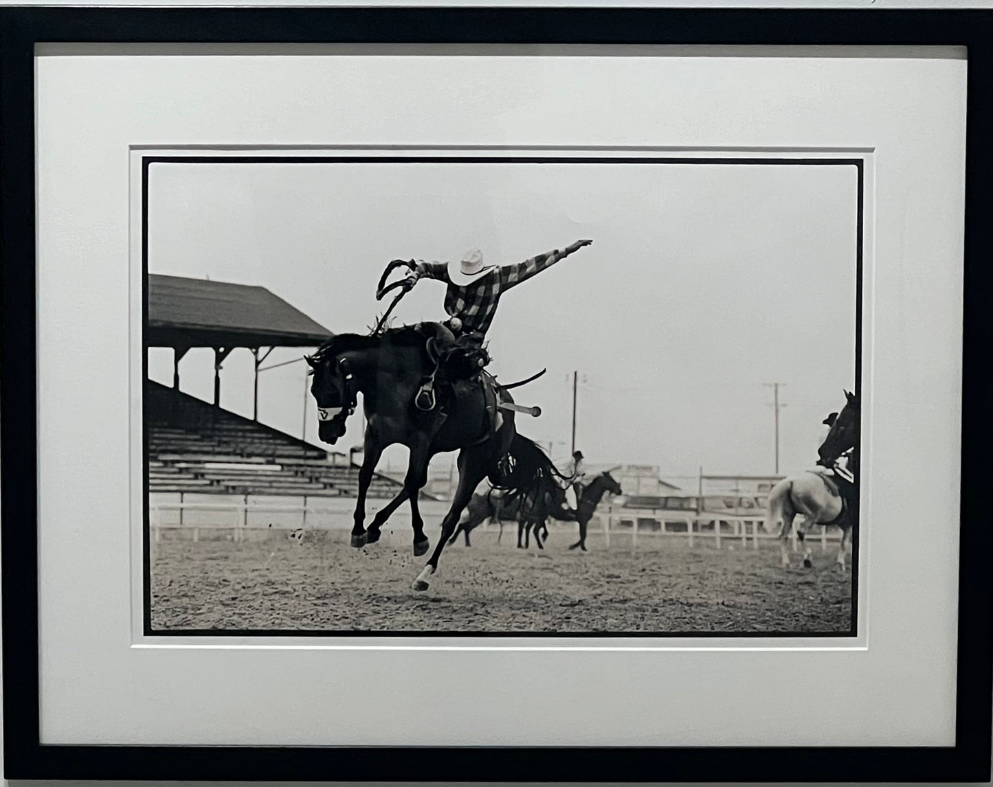 RO-018【Bucking Bronco, Cheyenne, WY, 1989】Arthur Elgort