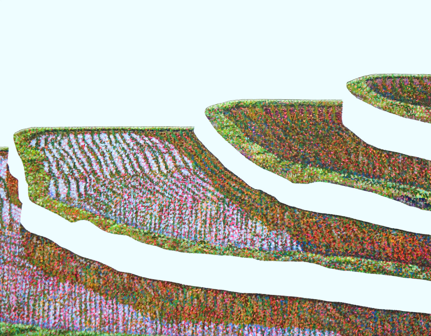 佐野直【field 2】