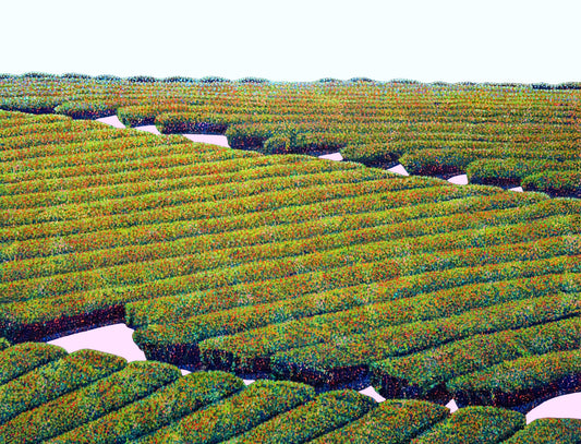 佐野直【PLANTATION 2】※SOLD OUT※